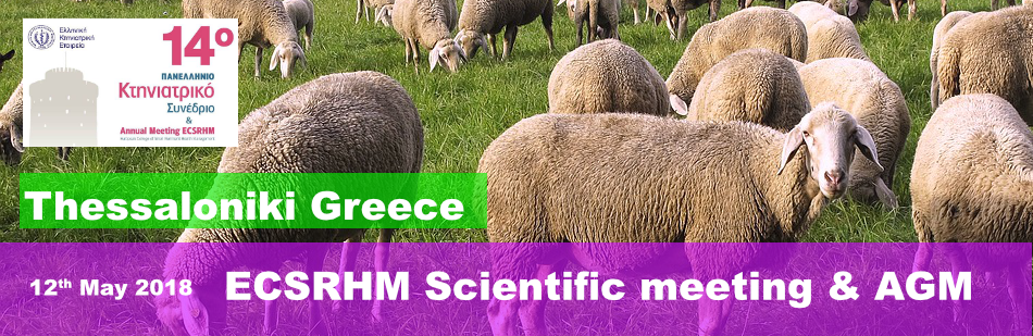 2018 ECSRHM annual meeting – Greece