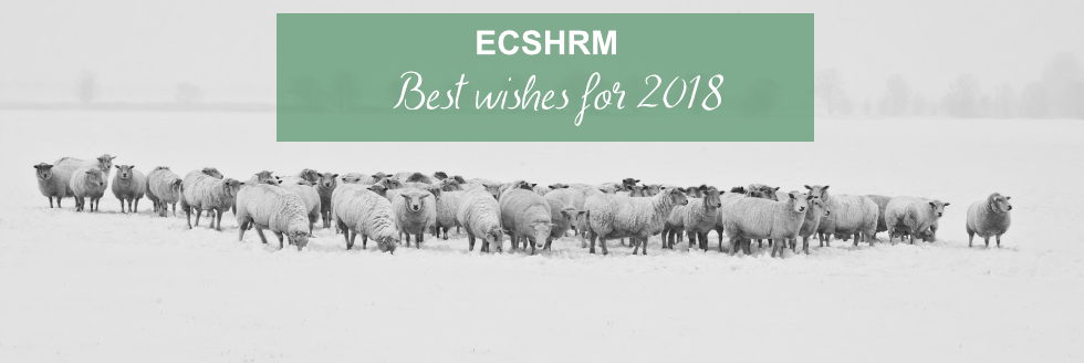 Season Greetings