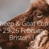 Dairy Sheep and Goat Conference 2019
