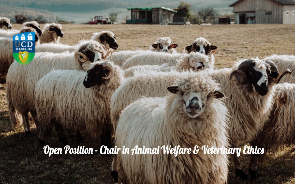 Open Position – Chair in Animal Welfare & Veterinary Ethics