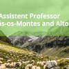 Two Open Positions Assistant Professor