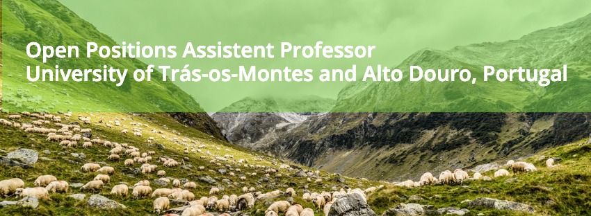 Two Open Positions Assistant Professor