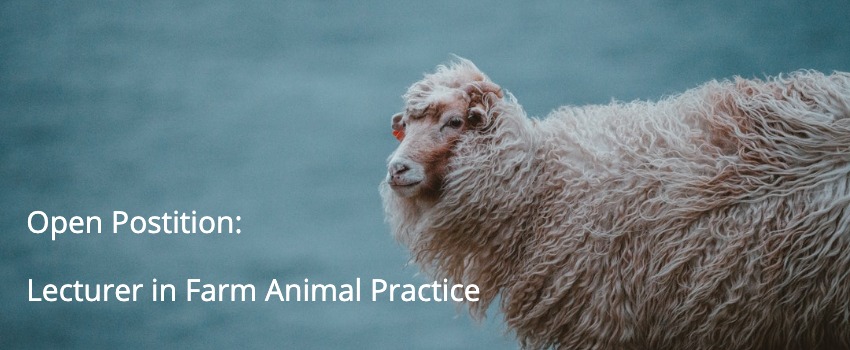 Open Position: Lecturer in Farm Animal Practice