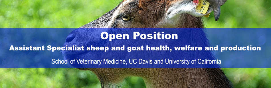 Open position: Assistant Specialist sheep and goat health, welfare and production.