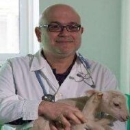 George C. Fthenakis