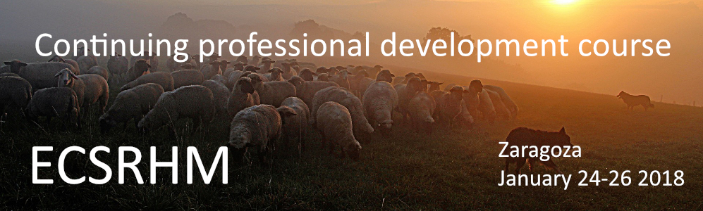 Professional Development Course